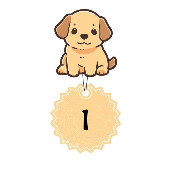 Llama Tags Pet ID Tags For Cats and Dogs