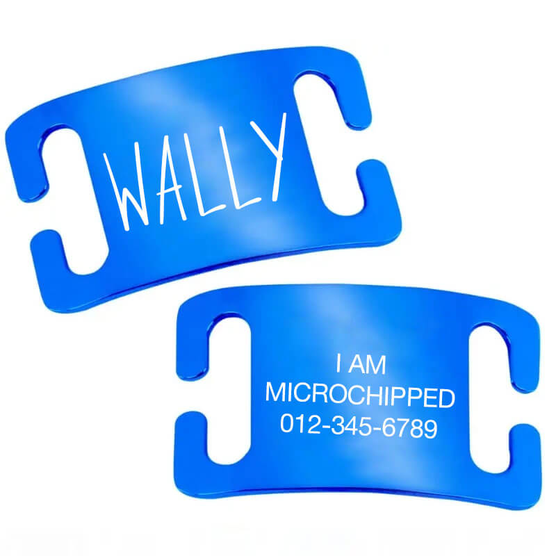 Custom blue stainless steel slide-on pet ID tags engraved with the name 'Wally' and microchip contact info for safe pet identification.