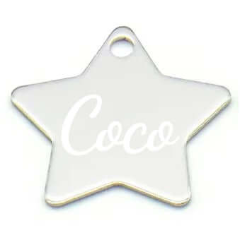 Elegant silver star-shaped aluminum pet ID tag engraved with 'Coco', perfect for stylish and visible pet identification.