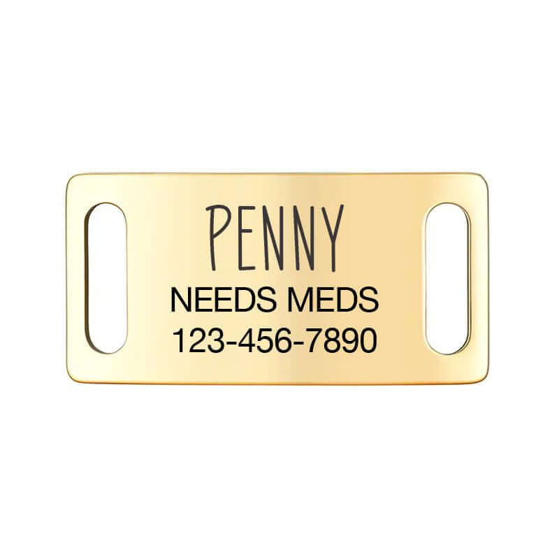 Gold slide-on dog ID tag labeled 'Penny Needs Meds' with contact number, essential for pet safety.
