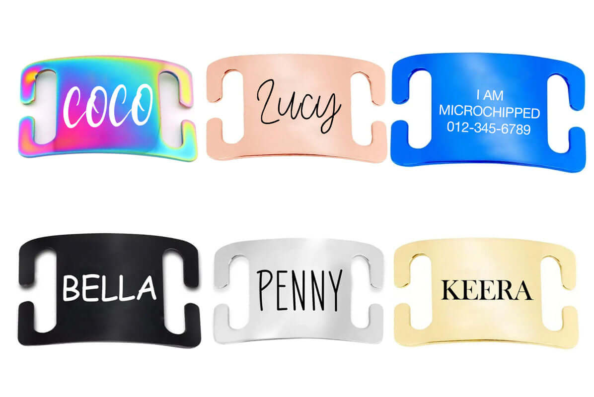 Custom stainless steel slide-on pet collar tags in rainbow, rose gold, blue, black, silver, and gold finishes engraved with names and microchip info for dogs and cats.