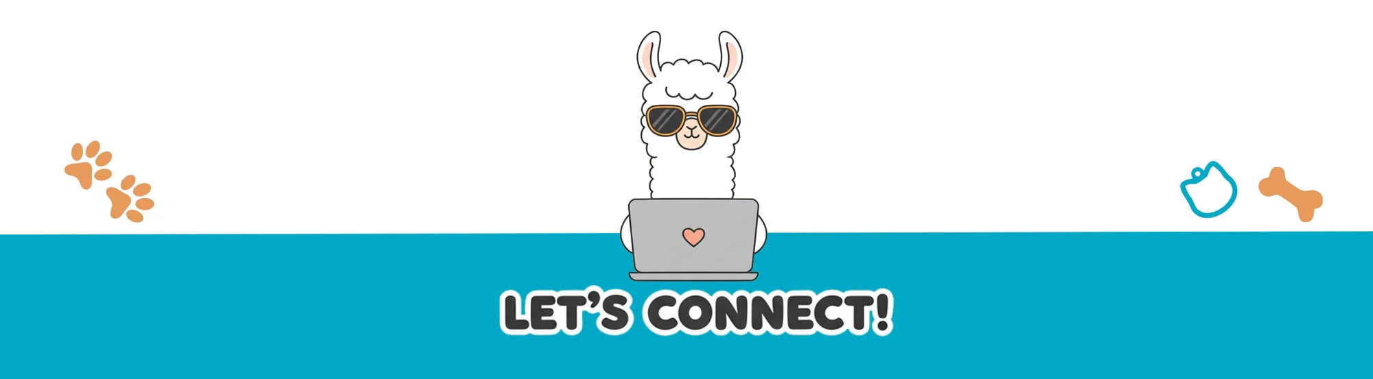 Llama Tags mascot with sunglasses and a laptop on a banner that says "Let's Connect!" encouraging users to sign up for the newsletter.